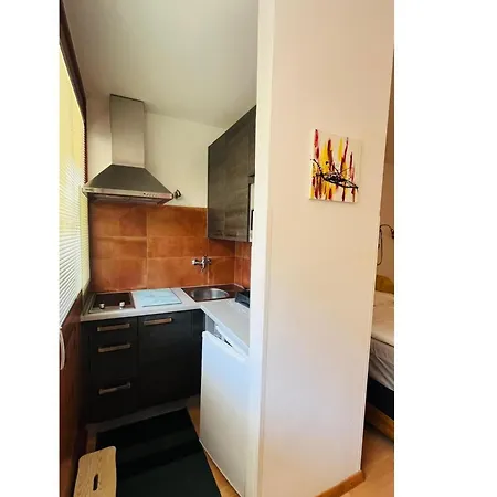 Lucky 13 Incl Summercard Zell Am Apartment